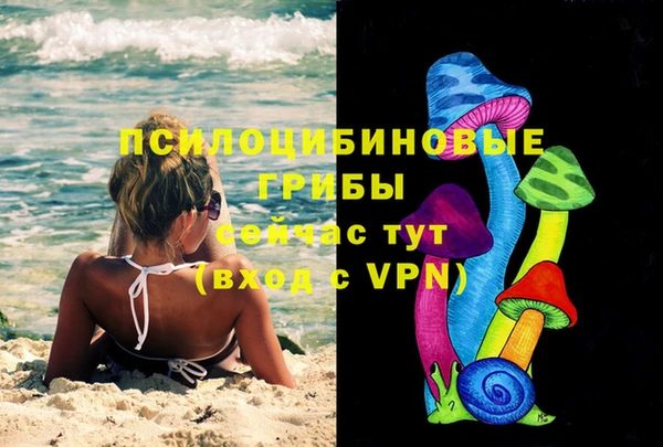 индика Алексеевка