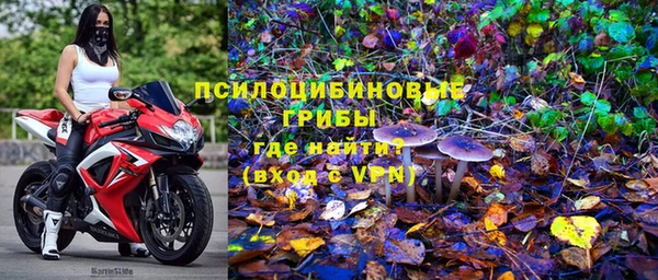 круглые Алзамай