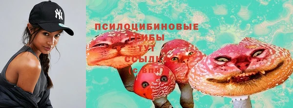 индика Алексеевка